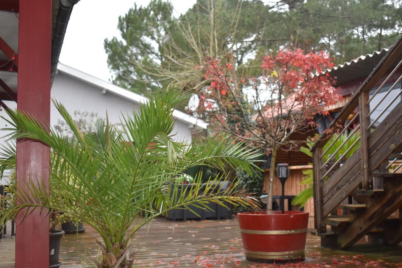 Bed and Breakfast Chez Augustin Lacanau Esterno foto